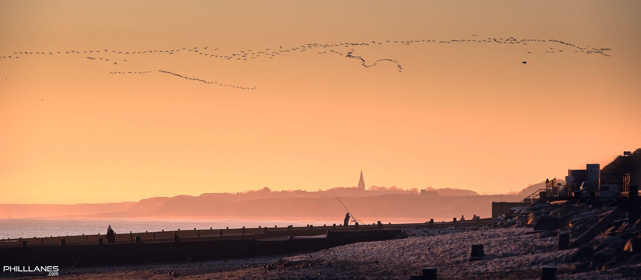 Early Birds.