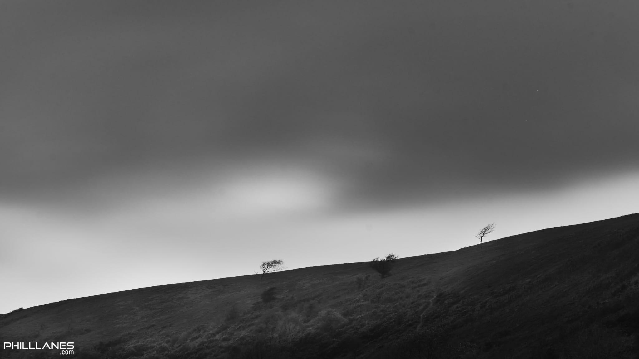 windy Purbeck